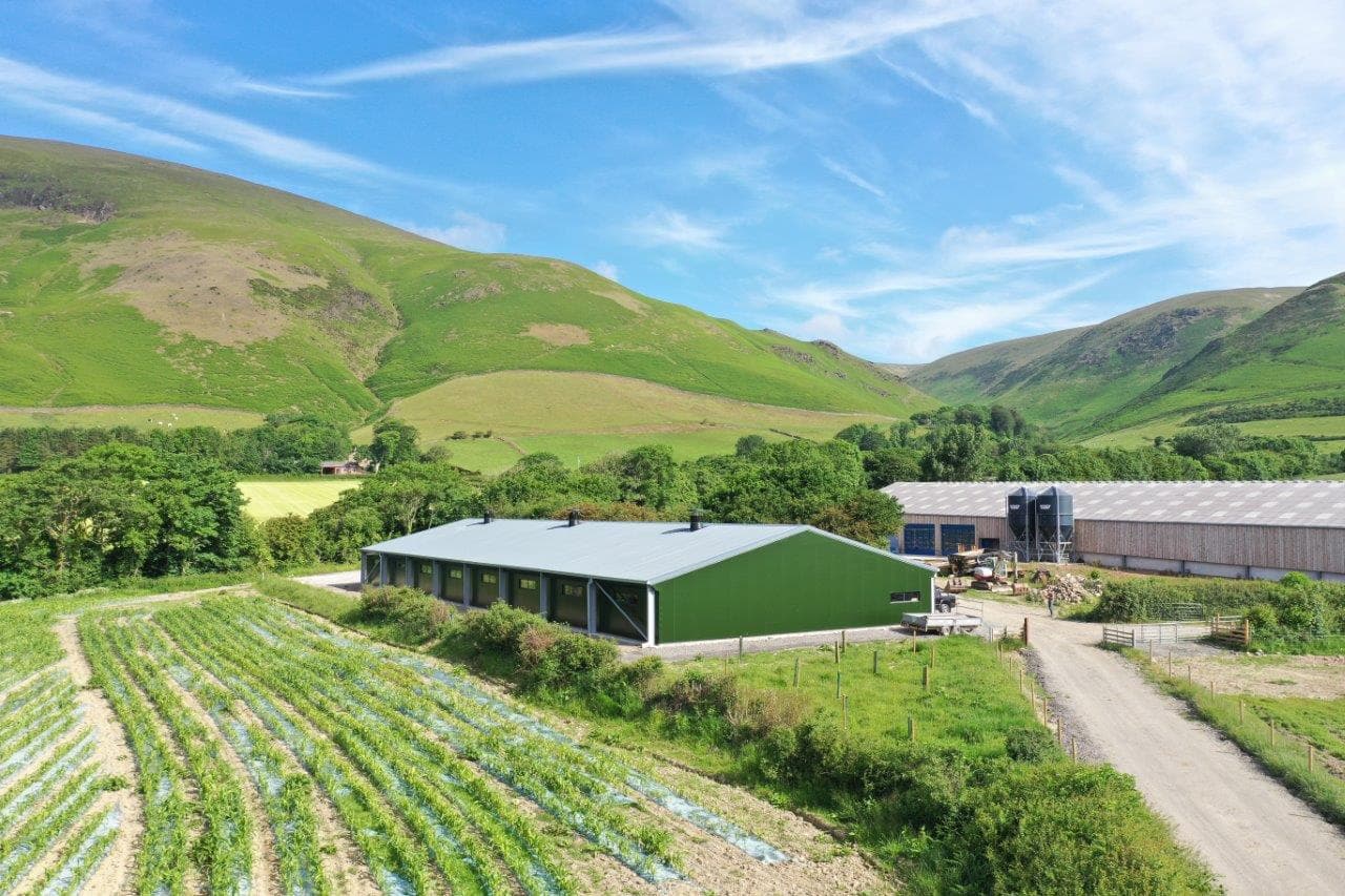 Testimonial from Ted Hodnett